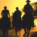 African Horseback Safari Mashatu Game Reserve Botswana Horse Riding