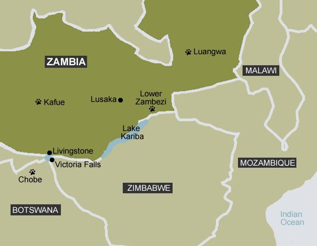 Honda wing zambezi #5