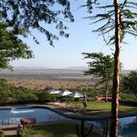 Serengeti Sopa SW