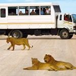 Overland Tour Botswana Overland Tour Namibia Overland Tour South Africa