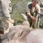 Safari Vet Amakhala Lalibela Game Reserve South Africa Garden Route Cape