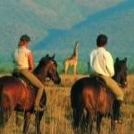 Horse Riding Beach Safari Holiday Vacation South Africa Horse Riding Beach Safari Holiday Vacation Durban Beach