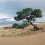 Flying Safari Holiday Etosha Namibia Victoria Falls Zambia Sossusvlei Namib Desert Sand Dunes Namibia Holidays