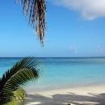 Luxury Beach Safari Vacations Holidays Kruger National Park Mauritius Beach Safari Vacations Holidays Hotels
