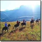 Riding Holidays South Africa Safari Beach Riding Holiday Vacations Safari Beach Horse Riding Vacations Africa