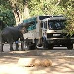 Overland Tour South Africa Overland Safari Kruger National Park Overland Safari Tour Cape Town
