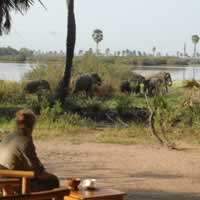 Lake Manze Camp