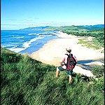 Honeymoon Safari South Africa Safari Honeymoon South Africa Beach Safari South Africa Thonga Beach Holidays Spa