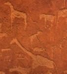 Safari Tour Kalahari Namibia Safari Tour Sossusvlei Twyfelfontein Bushman Paintings Etosha Oryx Zebra Giraffe