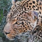 Cheap Package Vacation Holiday Cape Town Kruger National Park South Africa Hotel Lodge Vacation Holiday Package