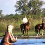 Horseback Safari Okavango Botswana Horseback Safari Holiday Okavango Botswana Victoria Falls Riding Holidays