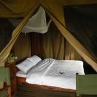 Ikoma Tented Lodge W