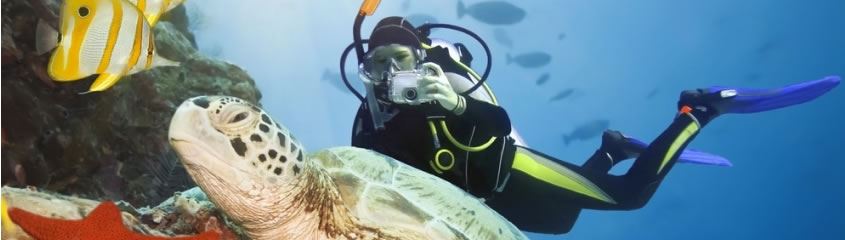 Scuba Diving Holidays Kenya Zanzibar Mozambique Diving Safari Holidays