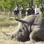 Walking Safari Kruger Park South Africa Walking Safari Pafuri Kruger Park Walking Safari Vacation Holiday Tours