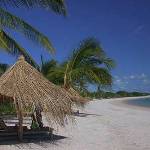 Scuba Diving Holidays Mozambique Scuba Diving Holiday Vacation Inhambane Dive Tofo Beach Mozambique Tofo Beach