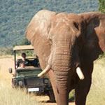 Malaria Free Safari Holidays Malaria Free Child Friendly Safaris Family Safaris Mauritius Beach Safari Holiday