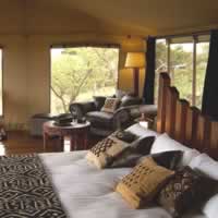 Migration Camp N
