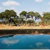 Swala Camp