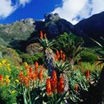 Wine Tasting Tour Holiday Cape Town Stellenbosch Franschhoek Paarl Constantia Wine Tasting Beach Holiday Tours