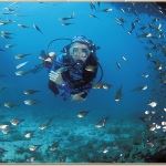 Mozambique Beach Safari Holidays Mozambique Honeymoon Mozambique Vacations Mozambique