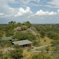 Mbuzi Mawe Serena W