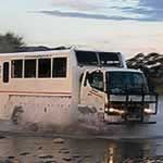 Overland Safari Tour Kruger National Park South Africa Overland Tour Johannesburg