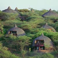 Serengeti Serena W