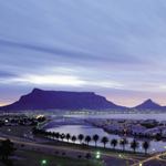 Cape Town Safari Holidays Cape Town Safari Vacations Cape Town Safaris