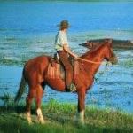 Horse Riding Safari Cape Town Riding Safari Vacation Cape Town Horse Riding Safari Holiday Vacation South Africa