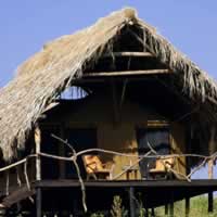 Crater Forest Tented Camp