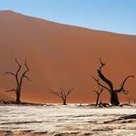 Guided Tour Namibia Guided Tours Kalahari Desert Fish River Canyon Ais Namib Desert Namibia Private Tour Namibia