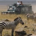 Cheap Safari Tsavo National Park Mombasa Beach Kenya All Inclusive