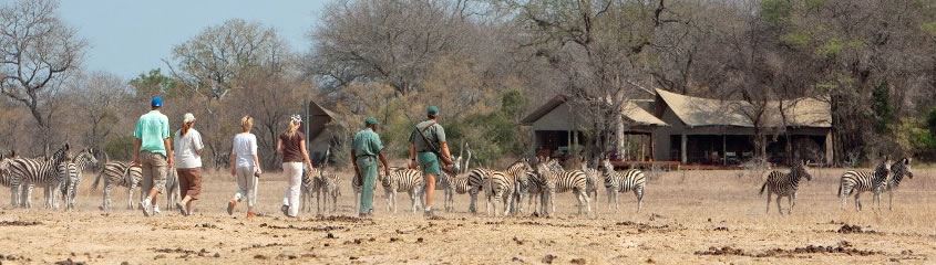 Walking Safari Holidays Africa Walking Safaris South Africa Zambia
