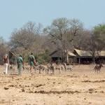 Walking Safari South Africa Walking Safari Kruger National Park Walking Holiday South Africa