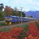 Blue Train Disabled Blue Train South Africa Blue Train Disabled Holiday Wheelchair Blue Train Cape Town Disabled