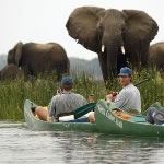 Canoeing Safari Zambezi River Mana Pools Zimbabwe Canoeing Safari Holidays Vacations Elephants Victoria Falls