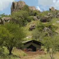Mbuzi Mawe Serena W