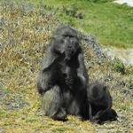 Self Drive Holiday Cape Town Garden Route South Africa Self Drive Holiday 
Vacation Car Hire Cape Town Car Hire Rent