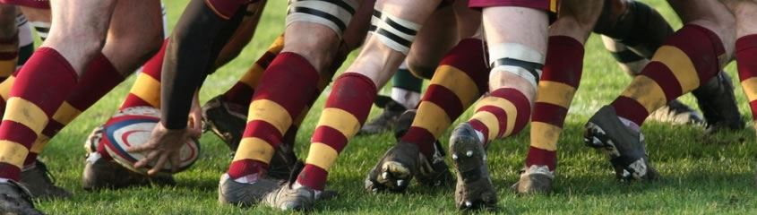 Rugby Tour South Africa Rugby Tour Cape Town Rugby Safari Tours Lions