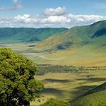 Safari Serengeti Tanzania Safari Holidays Vacations Serengeti Ngorongoro Crater Tarangire Safaris Tanzania