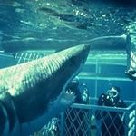 Adventure Holidays South Africa Adventure Holiday Cape Town Shark Diving Abseil Table Mountain