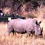 Family Safari South Africa Family Safari Malaria Free Safari Self Catering Safari Self Drive Safari Mabula Game