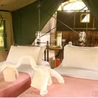 Lake Manze Camp