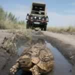 Holidays Adventure Durban Travel Swaziland Zululand Beach Safari