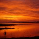 Botswana Safari Botswana Holiday Botswana Vacation Botswana Okavango Delta Moremi Game Reserve Birding Safari
