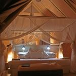 Luxury Honeymoon Safari South Africa Safari Sleep Out Star Beds Stars