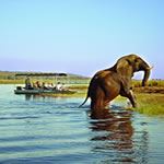 Safari Holidays Zimbabwe Safari Holiday Vacations Victoria Falls Hwange Safari House Boat Chobe Zambezi River