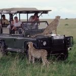 Cheap Package Holidays Victoria Falls Zambia Kruger National Park South Africa Safari Cheap Package Holidays