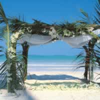 The Palms