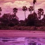 Holidays Tanzania Holidays Zanzibar Safari Holidays Tanzania Safari Holidays Selous Ruaha Katavi